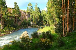 Rio Cunas near Chupaca.jpg