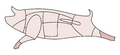 Schwein-Pfoten