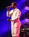 Shamir on the Gobi Stage at midnight (cropped)
