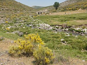 Archivo:Sierra de Gredos (Castilla y León, España) - puente romano 02