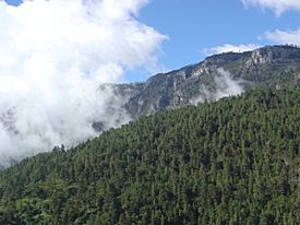 Sierra de los Cuchumatanes01.jpg