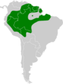 Threnetes leucurus map