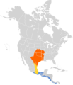 Tyrannus forficatus map