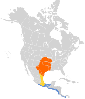 Distribución geográfica de la tijereta rosada.