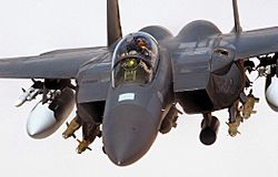 Archivo:USAF F-15E Strike Eagle, Iraq 2004