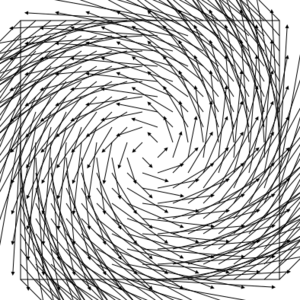 Archivo:Vector field