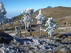 Verano en Ixchiguán.JPG