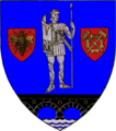 Actual Caraș-Severin county CoA