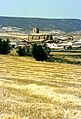 Almaluez 1991