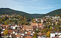 Alpirsbach-Panorama-2008