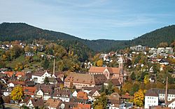 Alpirsbach-Panorama-2008.jpg