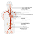 Aorta es