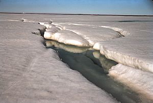 Archivo:Arctic ice melt
