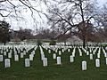 Arlington National Cemetery, Washington, D.C., USA2