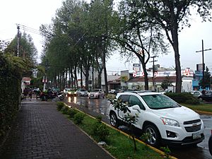 Archivo:Avenida Orizaba Xalapa