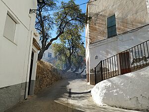 Archivo:Calles Paterna del Río