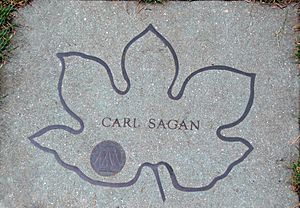 Archivo:Carl-sagan-brooklyn