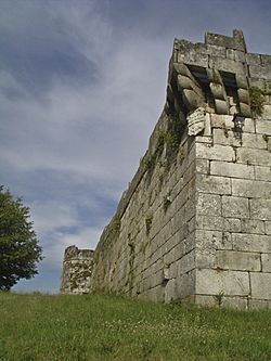 Archivo:Castelo de Maceda