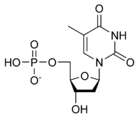DTMP chemical structure.png