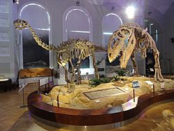 Archivo:Dinosaur room - Finnish Museum of Natural History - DSC04545