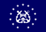 Flag of the United States Secretary of the Treasury.svg