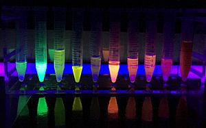 Archivo:Fluorescence from Fluorescent Proteins