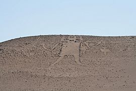 Geoglifos de Pintados - gigante de atacama