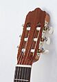 Guitar May 2009-1