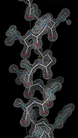 Archivo:Helix electron density myoglobin 2nrl 17-32
