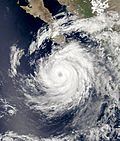 Hurricane Otis 2005.jpg