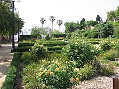 Jardins Miramar2