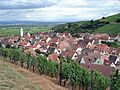 Katzenthal2