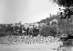 Archivo:L'Ametlla de Balaguer vist des del camí (cropped)