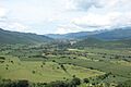 Mascota valle