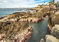Mazatlán, Sinaloa, MX