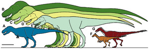 Archivo:Nanuqsaurus size