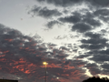 Paisaje en estacionamiento