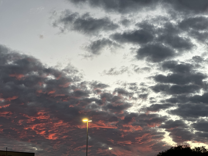 Paisaje en estacionamiento