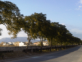 Paseo de la Constitución, en Peñuelas