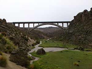 Archivo:Puente Rio San Juán
