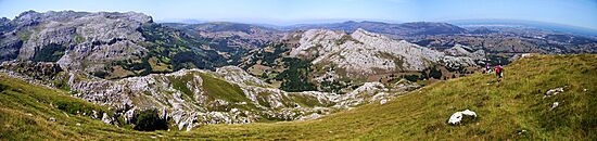 Archivo:Relieve karstico-Karst topography