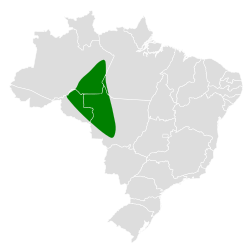 Distribución geográfica del hormiguero pechiblanco.