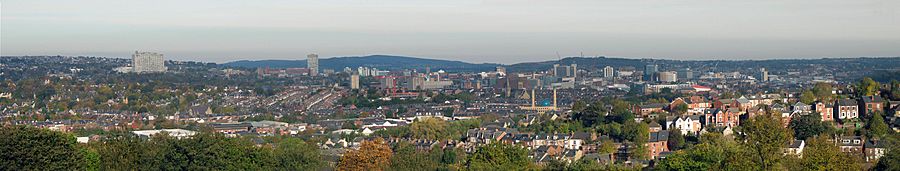 Archivo:Sheffield wide from Meersbrook Park