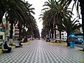 Tacna-Alameda Bolognesi, 2015 (2)