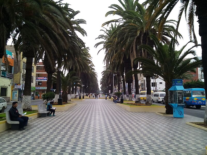 Tacna-Alameda Bolognesi, 2015 (2)