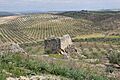 Torre del Cortijo de los Salineros 24J 02