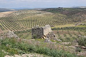 Archivo:Torre del Cortijo de los Salineros 24J 02