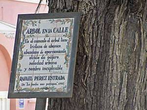 Archivo:Tree in the Street to Pérez Estrada, Plaque