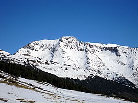 Tuc de Barlonguera.JPG