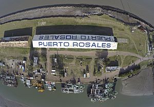Archivo:Vista aérea del galpón de Puerto Rosales